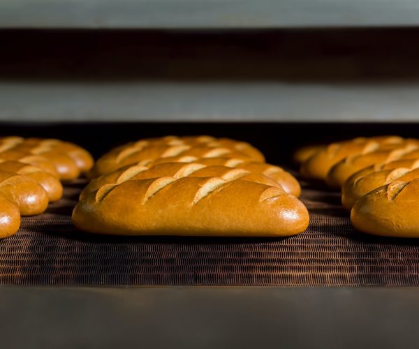 loaves-of-bread-on-the-production-line-in-the-bakery-
